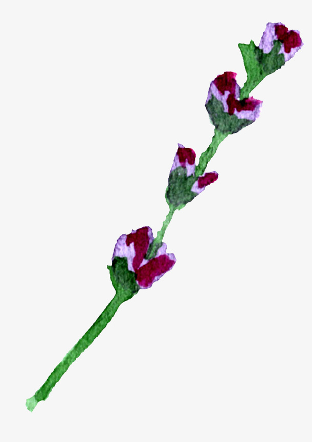 手绘花枝免抠