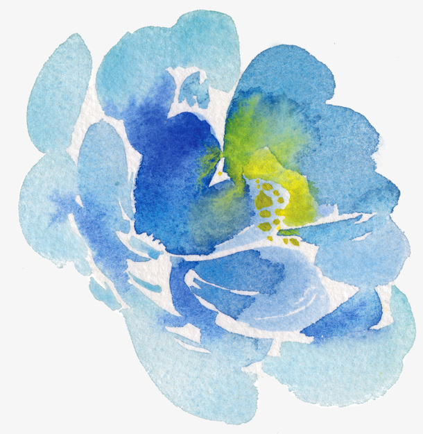 蓝色花朵免抠