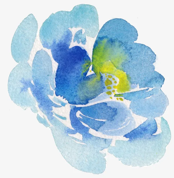 蓝色花朵免抠