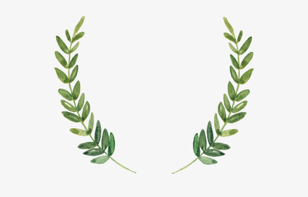 手绘叶子边框免抠