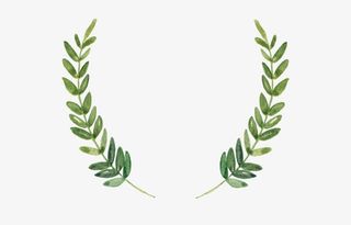 手绘叶子边框免抠