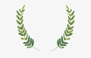 手绘叶子边框免抠