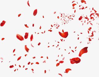 漫天飞舞漂浮红色浪漫花瓣免抠