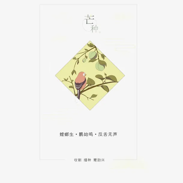 二十四节气芒种免抠