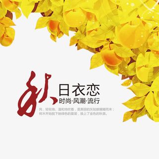 秋季叶子素材免抠