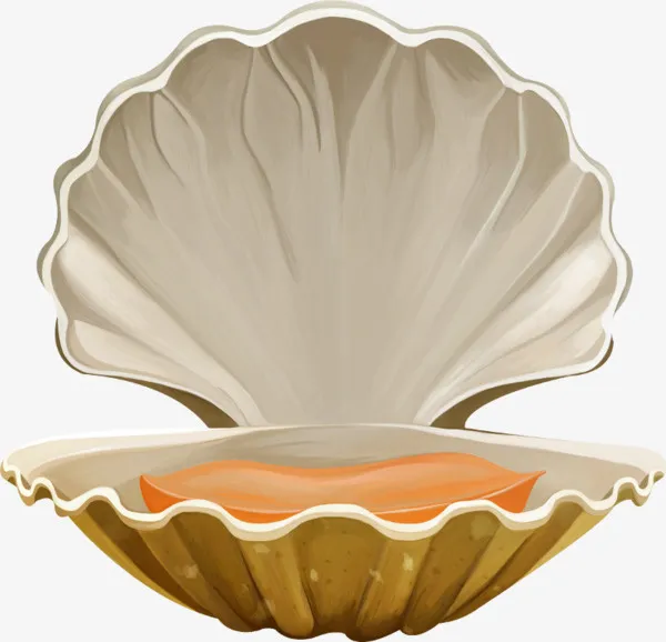 打开的贝壳免抠