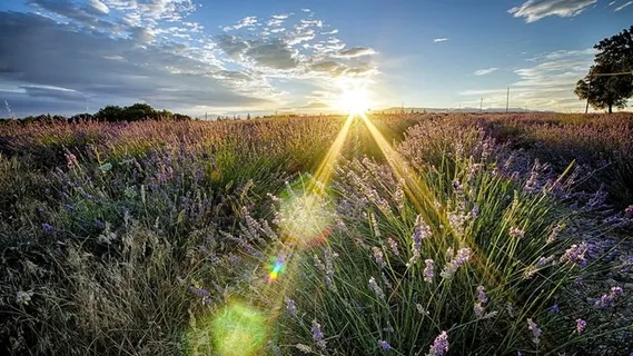 风景,素材,背景,PNG高清