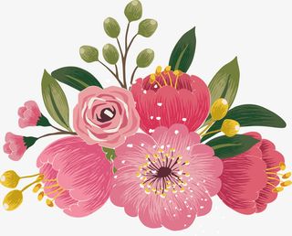 粉色的鲜花免抠