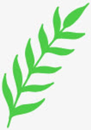 绿色树枝卡通装饰免抠