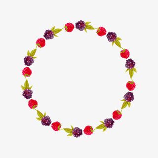 彩色水果圆环免抠