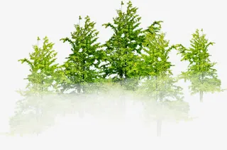 春季绿色花园大树景观免抠