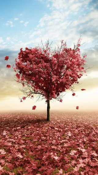 蓝天白云爱心树H5背景素材高清