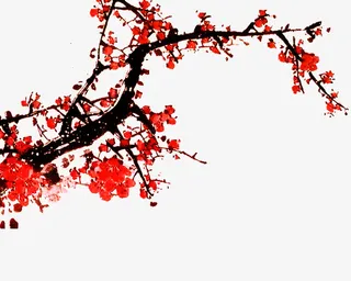 红色的梅花免抠