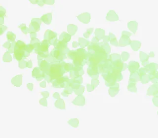 绿色银杏叶免抠