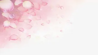 粉色花瓣唯美素材免抠