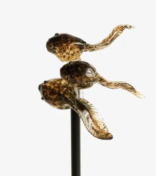 蝌蚪糖果零食免抠