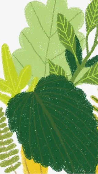 谷雨大片手绘叶子绿叶堆叠素材免抠