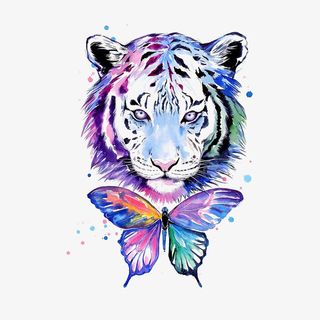老虎和蝴蝶免抠