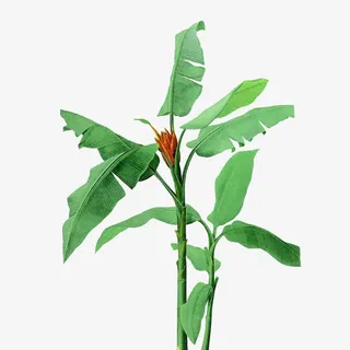 绿色芭蕉叶花朵素材免抠