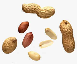 花生和花生米免抠