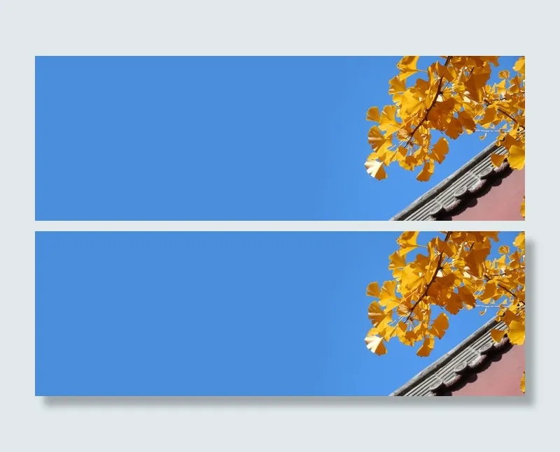 九月你好黄色叶子围墙banner