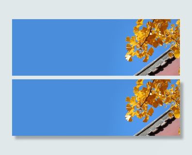 九月你好黄色叶子围墙banner