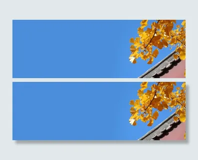 九月你好黄色叶子围墙banner 九月你好黄色叶子围墙banner