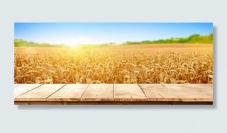 五谷杂粮麦子背景广告素材下载高清