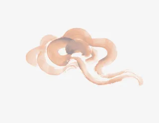 唯美中国风红色渐变祥云免抠