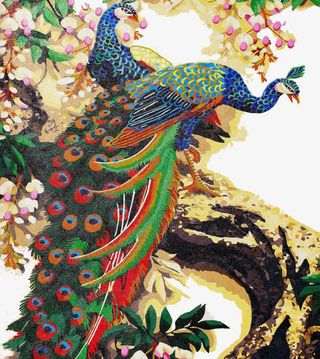 美丽的凤凰与树木免抠