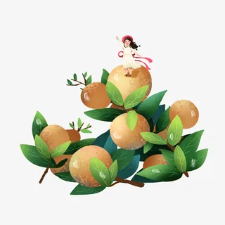 二十四节气白露立秋插画风龙眼元素免抠