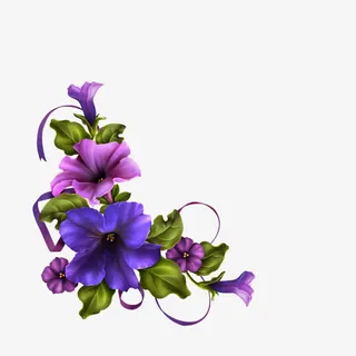 紫色牵牛花免抠