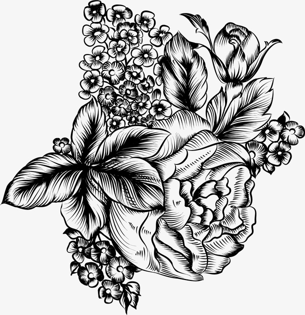 中国古典艺术花卉叶子线描png免抠