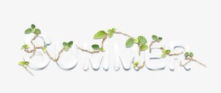 SUMMER夏天艺术字免抠
