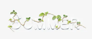 SUMMER夏天艺术字免抠