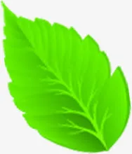 春天绿树叶子美景免抠
