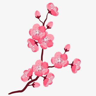 手绘桃花花瓣桃花枝免抠