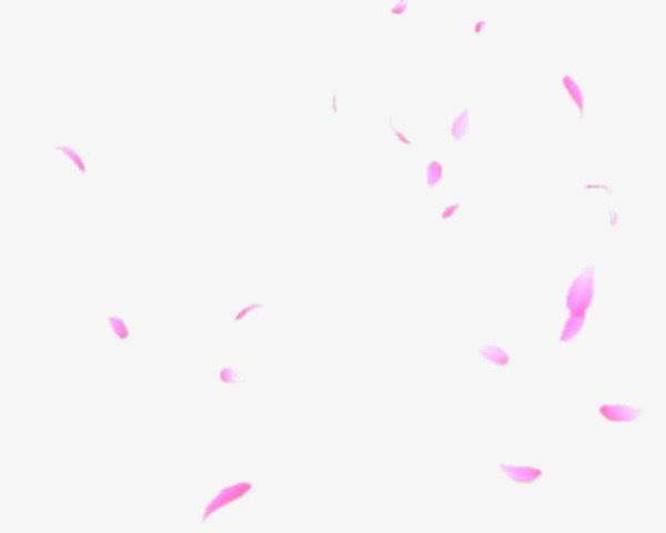 粉色飘扬花瓣免抠