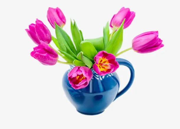 郁金香花瓶免抠