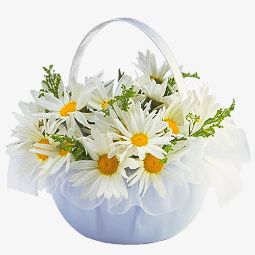 白色野菊花篮免抠