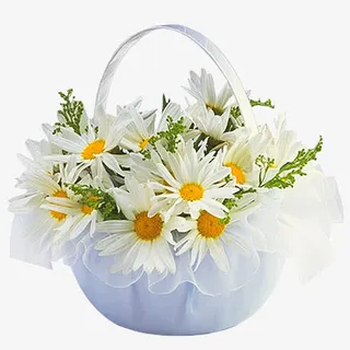 白色野菊花篮免抠