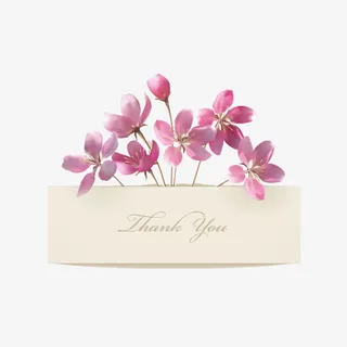 淡雅杏花封面免抠