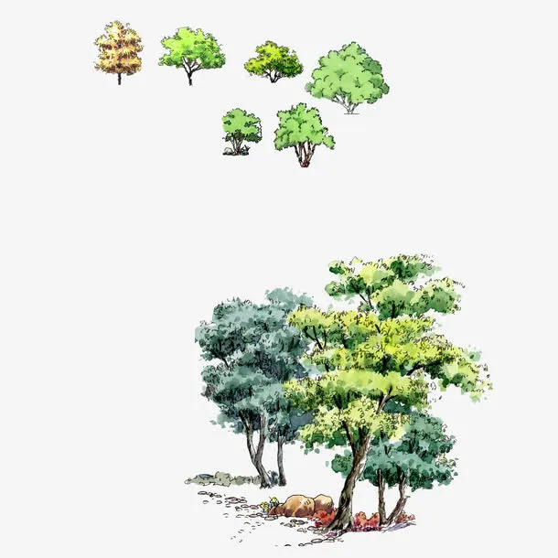 手绘茂盛的树顶免抠