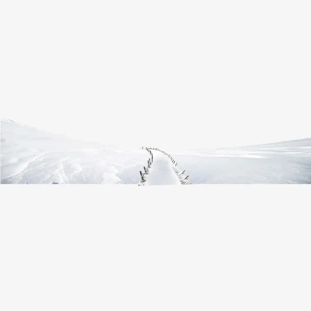雪地里的一条小路矢量图免抠