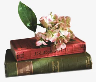 欧美古典花朵免抠