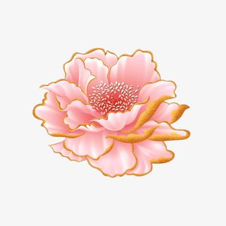 一朵粉色的金边牡丹免抠