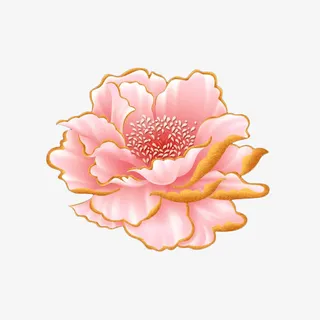 一朵粉色的金边牡丹免抠 一朵粉色的金边牡丹免抠