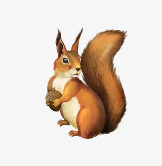 松鼠捧松果免抠