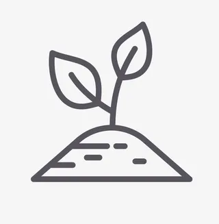 手绘的嫩芽免抠