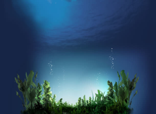 深海下的一片绿水草免抠